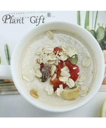 Plant Gift 100% Pure Oat Powder 100G/3.25oz Non-GMO Powder No Filler No additives Natural Oat Flour Great Flavor for Drinks Adds Flavor and Taste Baking Ingredients 2UK-PO0061 - Buy Online on GoSupps.com
