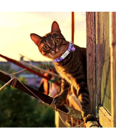 Senristar Personalised 2 Pack Reflective Cat Collar Custom Breakaway Cat Collars with Name Tag and Bell Anti-Lost Nameplate Cat Collar for Girls & Boys (Purple fit 8''-11.0'') fit 8''-11.0'' Purple - Buy Online on GoSupps.com