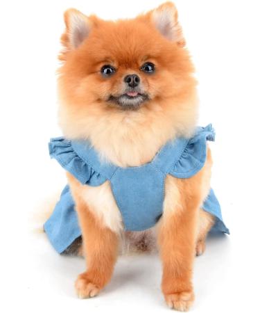 Paidful Denim Tutu Dress for Small Dogs & Cats - Light Blue Pleated L tzchen for Puppies Chihuahua & Yorkie - Spring/Summer Fashion - Buy Online on GoSupps.com