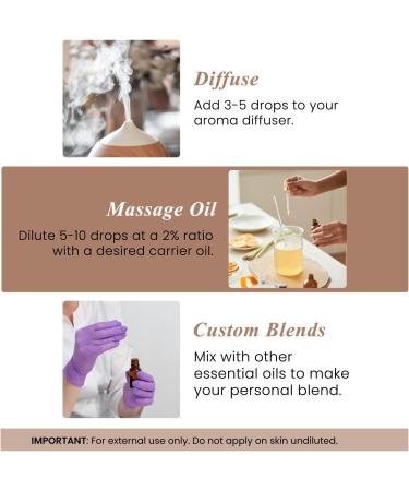 Handcraft Blends Clove Bud Essential Oil - 100% Pure Natural & Premium - Essential Oil for Diffuser & Aromatherapy - 0.33 Fl Oz - Buy Online on GoSupps.com