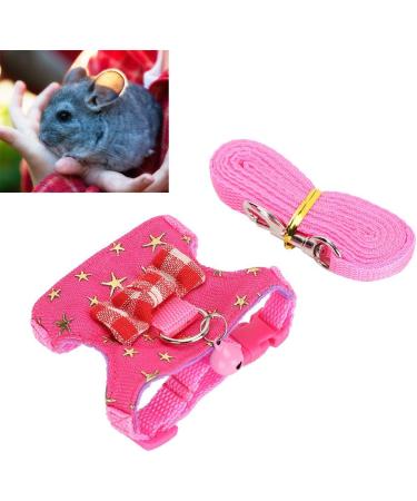 Small Animal Dishes & Leash Set for Squirrels Hamsters Ferrets & Guinea Pigs | Perfect Pet Accessories - Buy Online on GoSupps.com