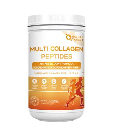 NATURE TARGET Multi-Collagen-Peptides-Powder for Joint Support Hydrolyzed Collagen for Women Men with MSM + GC Type I II III V X Collagen for Skin Hair & Nail Non-GMO 50 Servings 1.1 Pound (Pack of 1)