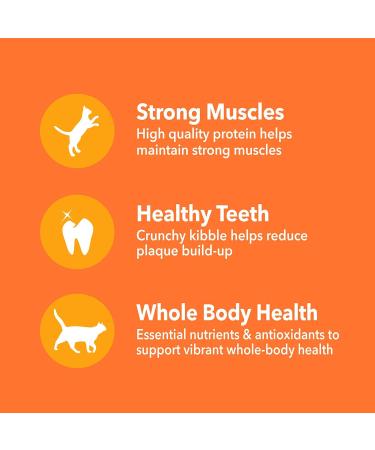 IAMS PROACTIVE HEALTH HEALTHY ENJOYMENT Adult Dry Cat Food Chicken & Salmon Recipe 1.36kg Bag 1.36 kg (Pack of 1) - Buy Online on GoSupps.com