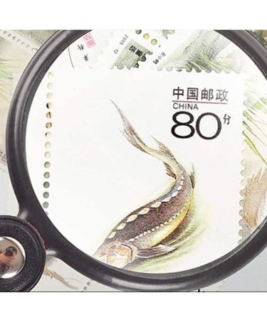 Lightweight Magnifying Glass 10X Handheld High-Definition Mini Portable Round Magnifying Glass for Reading Watch Repair Tools Lofty Ambition - Buy Online on GoSupps.com