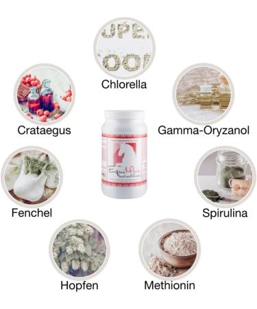 Equimove Bundle for Horses | Muscle Joint & Tendon Support | 1.5 kg Supplementary Feed - Buy Online on GoSupps.com