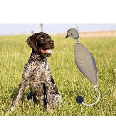 Hodeffior Bird Dummy Dog Training Sturdy Dog Retrieve Dummy Training Water Toys Gun Dog Training Dummy Float Fowl Toy Bird Gundog Training Dummies for Dogs (Puppy Medium Large) 25x7x6cm The Bird 25 X 7 X 6cm - Buy Online on GoSupps.com