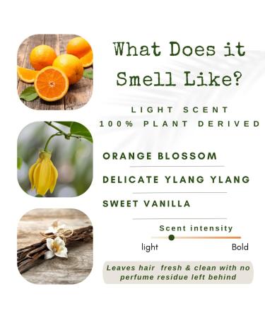 Conditioner Bar for Dry Hair | Moisture & Volume | Organic Essential Oils | Travel Size | Orange Ylang Ylang Argan Oil | USA 1-pk - Buy Online on GoSupps.com