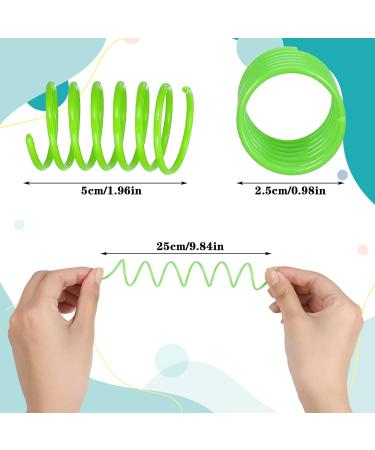 Fuyamp 16 Pcs Cat Colorful Springs Toys Cat Spring Toys for Kittens BPA Free Plastic Interactive Toys to Keep Fit for Swatting Biting Hunting Healthy Play Kitten Toys - Buy Online on GoSupps.com