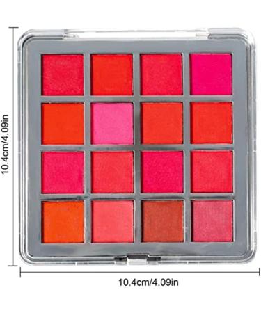 16 Colors Gradient Pink Chrome Nail Powder Set Nail Pigment Powder Boxes Gradient Iridescent Nail Art Decoration for Nail Art Design Decoration - Buy Online on GoSupps.com