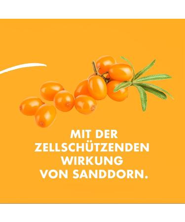 Carrot Shots Pack - for your inner beauty. Organic and vegan. NO sugar NO additives. 21 x 60 ml - Buy Online on GoSupps.com