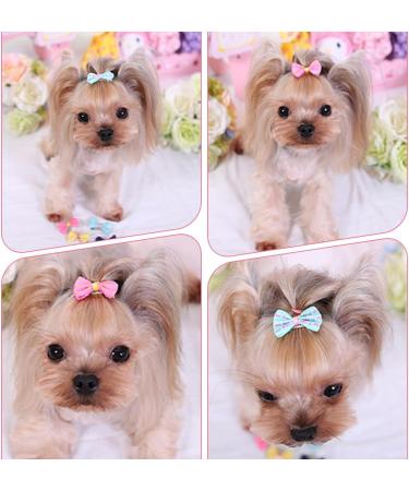 Ebho 10-Piece Small Dog Hair Accessories Set | Rubber Band Loops for Long-Haired Dogs & Cats - Buy Online on GoSupps.com