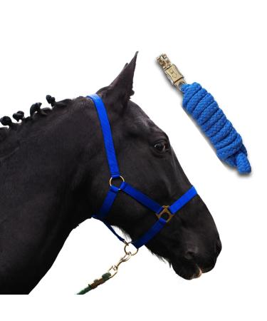 Halter for horses with rope |Leading knitting horse with halter |Haler Shetty pony thoroughbred Full X-Full with rope (royal blue COB) Royalblau COB