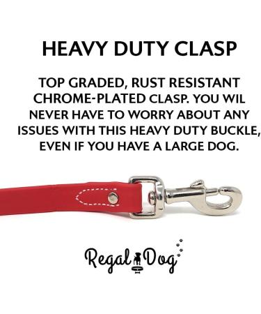 Regal Dog Halison Biothane Waterproof Collar & Leash Set - Perfect for Small to Large Dogs - Striking Red Color - Buy Online on GoSupps.com