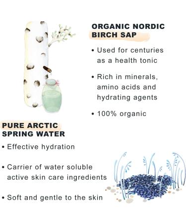 Lumene Nordic Hydra L hde Moisture Balm 50ml - Vegan Hydrating Day Cream with Triple Hyaluronic Acid & Nordic Birch Sap - Face and Neck Moisturiser - Buy Online on GoSupps.com