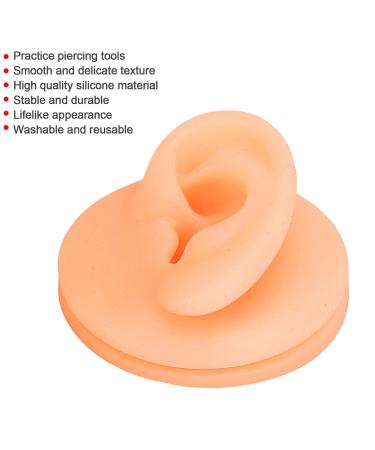 Ankroyu Silicone Ear Acupuncture Exercise Model - Reusable Left Ear Teaching Prop for Presentations - Buy Online on GoSupps.com