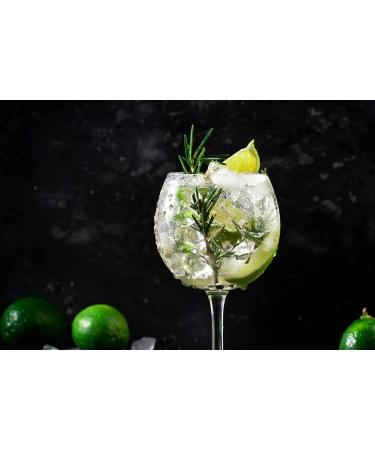 Eden Bay Premium Indian Tonic Water - 24 x 150ml Cans - Great Taste | Low Calorie Mixer - 100% Natural Ingredients - Ideal for Premium Gin - Buy Online on GoSupps.com