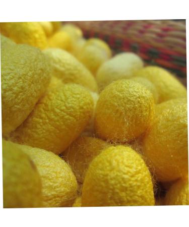 Healeved Silk Facial Scrub Set 50 Pieces Natural Exfoliating Facial Scrub Cleansing - Buy Online on GoSupps.com