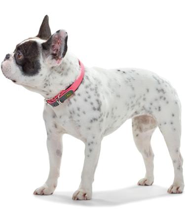 HUNTER Convenience Comfort Dog Collar - Neon Pink Neoprene & Plastic - Size 40 S - Perfect for Your Pup! - Buy Online on GoSupps.com
