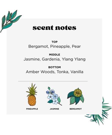 Pet-Pourri 473ml - Pawsitively Fresh - Buy Online on GoSupps.com