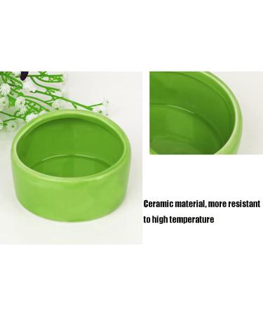 CAJHFIZHANGU 1pc Gradient Side Hamster Ceramic Bowl Hamster Food Bowl Ceramic Water Bowl Small Animal Water Bowl Anti-bite Small Animal Food Bowl Water Feeder for Rabbit Hedgehog Guinea-Pig Green - Buy Online on GoSupps.com