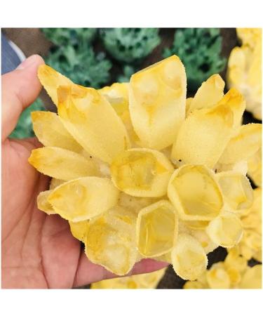 Stone Jewelry Natural crystal rough Stone 400-800g Natural Yellow Ghost Phantom Quartz Crystal Cluster Specimen Home Decoration Office Living Room Crystal Decora Balance Gemstone Decoration Stone Jewe 600-700g - Buy Online on GoSupps.com