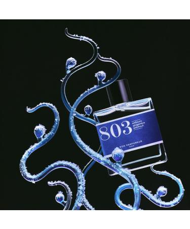 803 - Sea spray ginger patchouli - 1 fl.oz / 30 ml - Buy Online on GoSupps.com