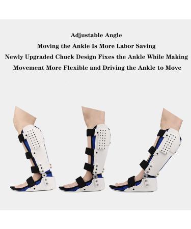 SFKLYU Ankle Support Brace | Ankle Protector with Guard Plate for Arthritis & Injury Recovery - L Size - Buy Online on GoSupps.com