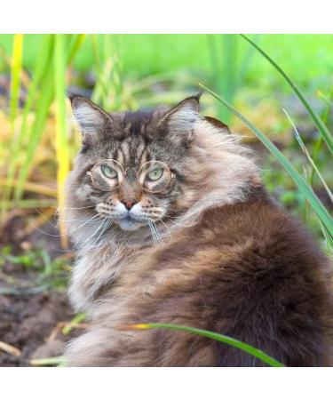Pet Glasses Reflective Cat Retro Circular Pomeranian Sunglasses with Metal Frame for Cats Small Dogs Cosplay Photos Props black - Buy Online on GoSupps.com