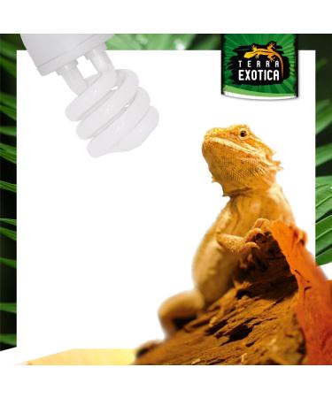 Terra Exotica Compact Mini UVB 13W Full Spectrum Daylight Lamp - Desert 10.0 5.0 & 2.0 UVB Options for Your Terrarium - Buy Online on GoSupps.com