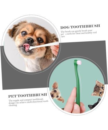 FOMIYES 8 pcs Practical Brush Lightweight Small Handle Pet Teeth Puppy Handheld Dog for Plastic Cleaning 1 count (Pack of 1) Assorted Colorx2pcs - Buy Online on GoSupps.com