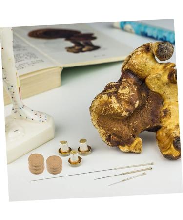 CliSpeed 25 Pack Moxa Cake - Round Mugwort Cake for Moxibustion | Home Accessories & Supplies - Buy Online on GoSupps.com