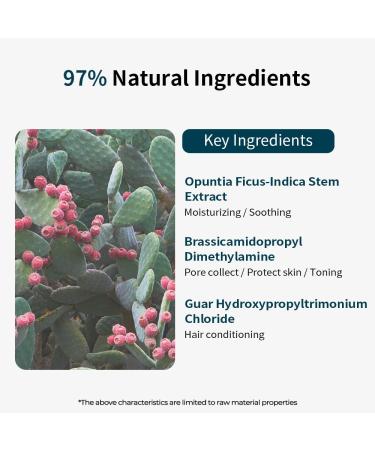 Buy Whamisa Fresh Cactus Shampoo | Nourishing & Organic Hair Care - International Shipping Available - Buy Online on GoSupps.com