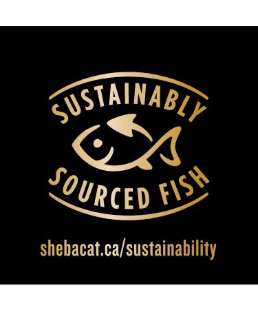 SHEBA Bistro Perfect PORTIONS Cat Food Wet Adult Pat Gourmet Salmon & Chicken Savoury Salmon & Tuna and Signature Seafood Entr e Variety Pack (24) 75g Trays Pat Variety Pack 75 g (Pack of 24) - Buy Online on GoSupps.com