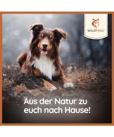 Wildfang Leather Chew for Dogs & Puppies | Naturally Tanned Soft 5mm Thick | Ideal Chewing Bone for Pets Up to 15 kg - 17 cm - Buy Online on GoSupps.com