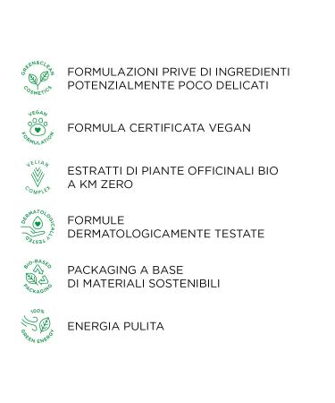 Kemon Actyva New Fiber Mask - Protective & Regenerating Hair Mask for Damaged Hair with Amaranth & Red Algae - 200ml | International Shipping Available - Buy Online on GoSupps.com