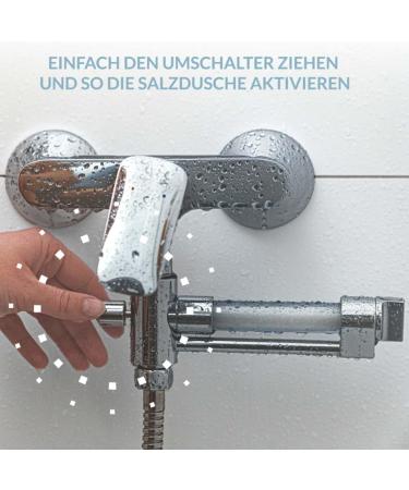 Buy Lion's Den Chrome Starter Set | Mediterranean Salt Shower - Elevate Your Shower Experience | International Shipping Available - Buy Online on GoSupps.com