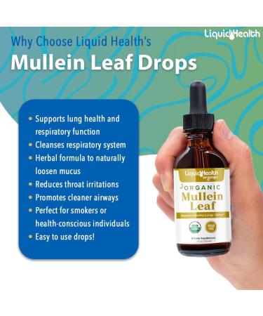 LIQUIDHEALTH USDA Organic Mullein Leaf Extract Drops for Lungs - Herbal Cleansing Drops for Smokers, Immune Support, Respiratory Health - 1000mg, 60-Day Supply, Sugar-Free, Made in USA (2 fl oz) 2 Fl Oz (Pack of 1) - Buy Online on GoSupps.com