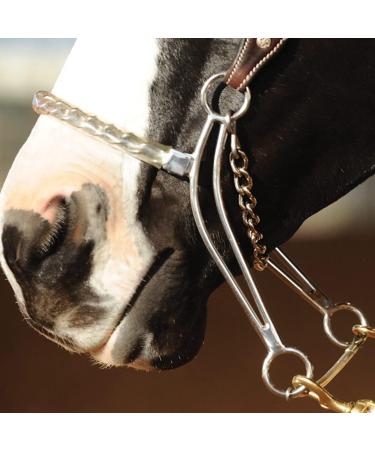 Classic Equine Carol Goostree Hackamore 8.75-inch with Covered Chain Nosepiece - Buy Online on GoSupps.com
