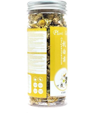 PlantGift White Chrysanthemum Bud 30G/1oz HangZhou Chrysanthemum Flower Tea Chinese Herbel Tea Flower Tea - Buy Online on GoSupps.com