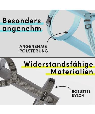 Stuch Dog Harness - Adjustable Padded Nylon for All Sizes | Turquoise XS for Small Medium Large Dogs - Buy Online on GoSupps.com