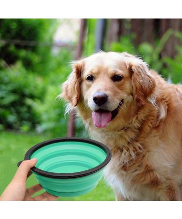 Slson 2-Piece Foldable Dog Travel Bowl Set | 1000ml Safe Pet Water & Feed Bowls with Carabiners for Cats & Dogs - Light Blue - Buy Online on GoSupps.com