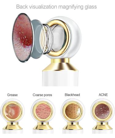 Blackhead Remover Vacuum with LED Magnifying Glass for Visible Nose Blackhead and White Acne Pore Cleaning - Suction Tool Kit - Buy Online on GoSupps.com