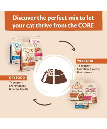 Wellness CORE Adult Ocean 300g Salmon & Tuna Dry Cat Food for All Cats Grain-Free High Fish Content Protein-Rich Supports Healthy Skin & Shiny Coat Ocean - Salmon & Tuna 300g - Buy Online on GoSupps.com