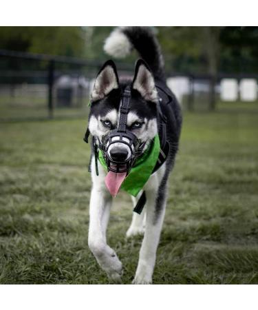 Buy Barkless Muzzle for Dogs - Soft Silicone Basket Enables Drinking & Panting Size 5 (Snout 13.5-14.5) - International Shipping Available - Buy Online on GoSupps.com