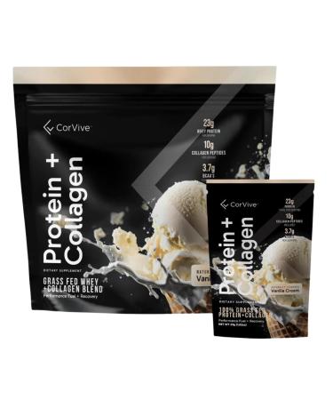 Protein + Collagen Powder | 23g Protein (Grass-Fed Whey + Collagen) | 3.7g BCAAs | Supports Muscle & Joint Health | Gluten & Soy Free | No Artificial Ingredients | 15 Sachets - Vanilla New Vanilla