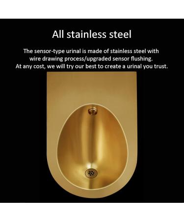Inodoros modernos para ba os de Acero inoxidable para el hogar inodoros verticales con Sensor inteligente montados en la pared inodoros p blicos comerciales de drenaje peque o y f ciles de Black - Buy Online on GoSupps.com