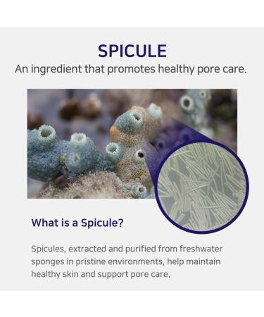 APLB Spicule Collagen Shot 300 Serum | SPICULE COLL SHOT 300 1.35 FL.OZ/Korean Skincare Gentle Exfoliation Elasticity Care Long lasting hydration Revitalize for gentle and improve skin texture - Buy Online on GoSupps.com