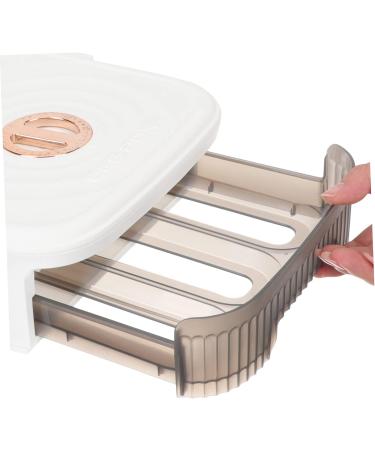 Zerodeko Box Refrigerator Egg Carton Container with Lid Out Fridge Drawer Refrigerator Storage Container Tray - Buy Online on GoSupps.com