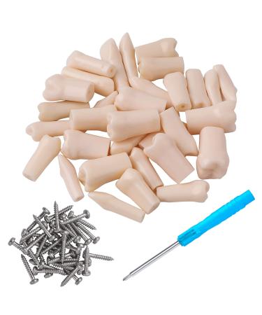Faruijie Typodont teeth - for Typodont dental teeth model removable teeth use for practice and teaching (32) Typodont teeth -32