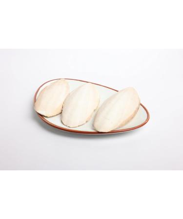 OGOC Cuttlebone (Kadal Nakku) | Natural Calcium Source for Birds | Set of 4 4 count (Pack of 1) - Buy Online on GoSupps.com